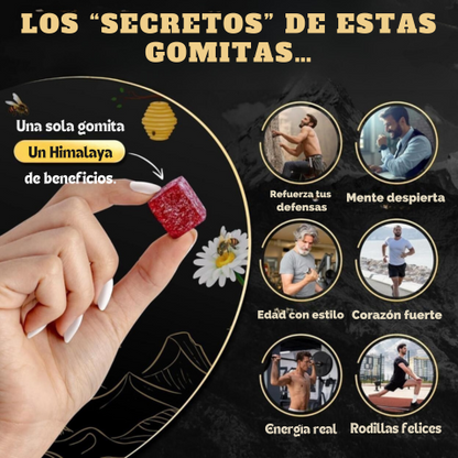 Gomitas de Shilajit puro: aumenta tu energía, enfoque y testosterona en 14 días